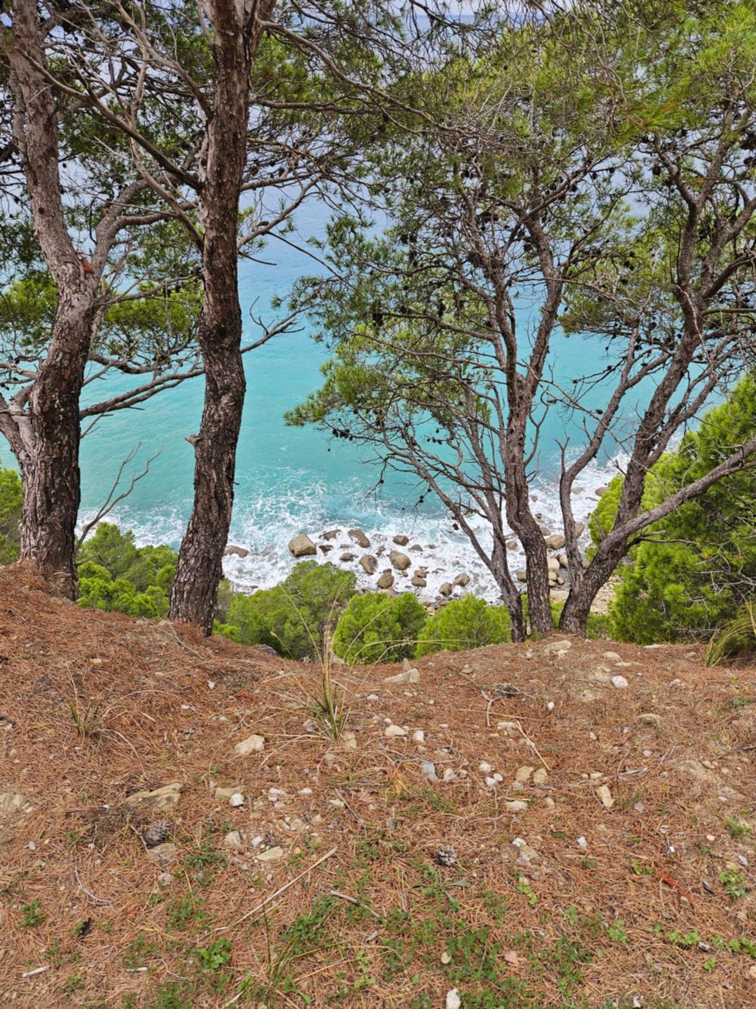 Marinelle Apartman Santa Maria di Castellabate Kültér fotó